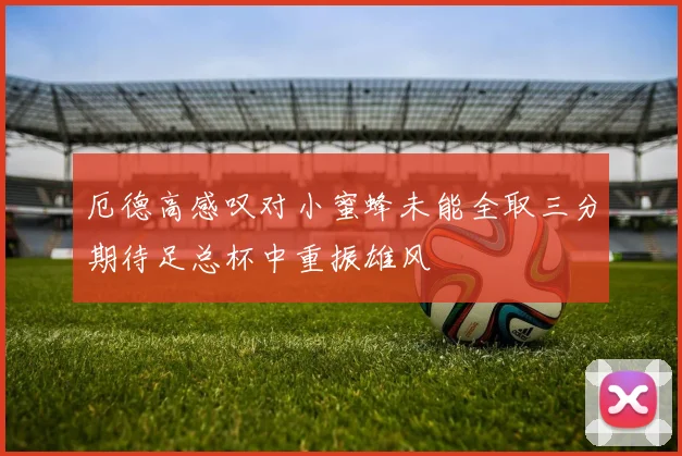 厄德高感叹对小蜜蜂未能全取三分期待足总杯中重振雄风